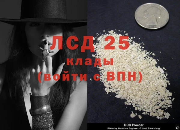 MESCALINE Алзамай
